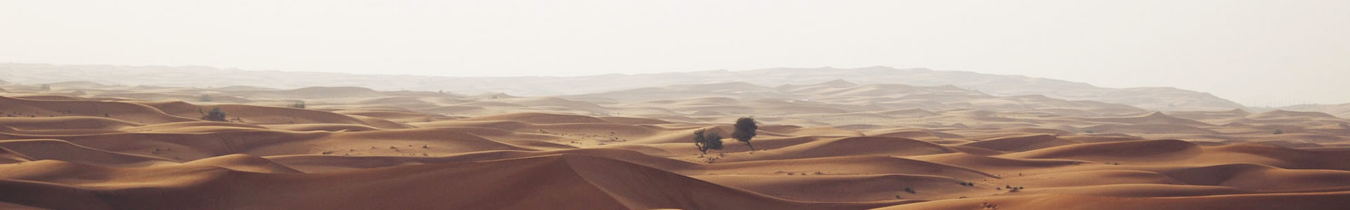 ǻƼ޹˾